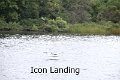 Icon Landing